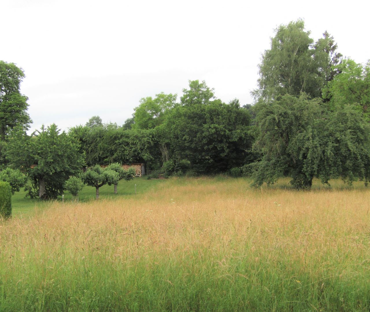 **2800 qm BAUERWARTUNGSLAND im ORTSKERN von BÜSINGEN** **2800 qm BAUERWARTUNGSLAND im ORTSKERN von BÜSINGEN**