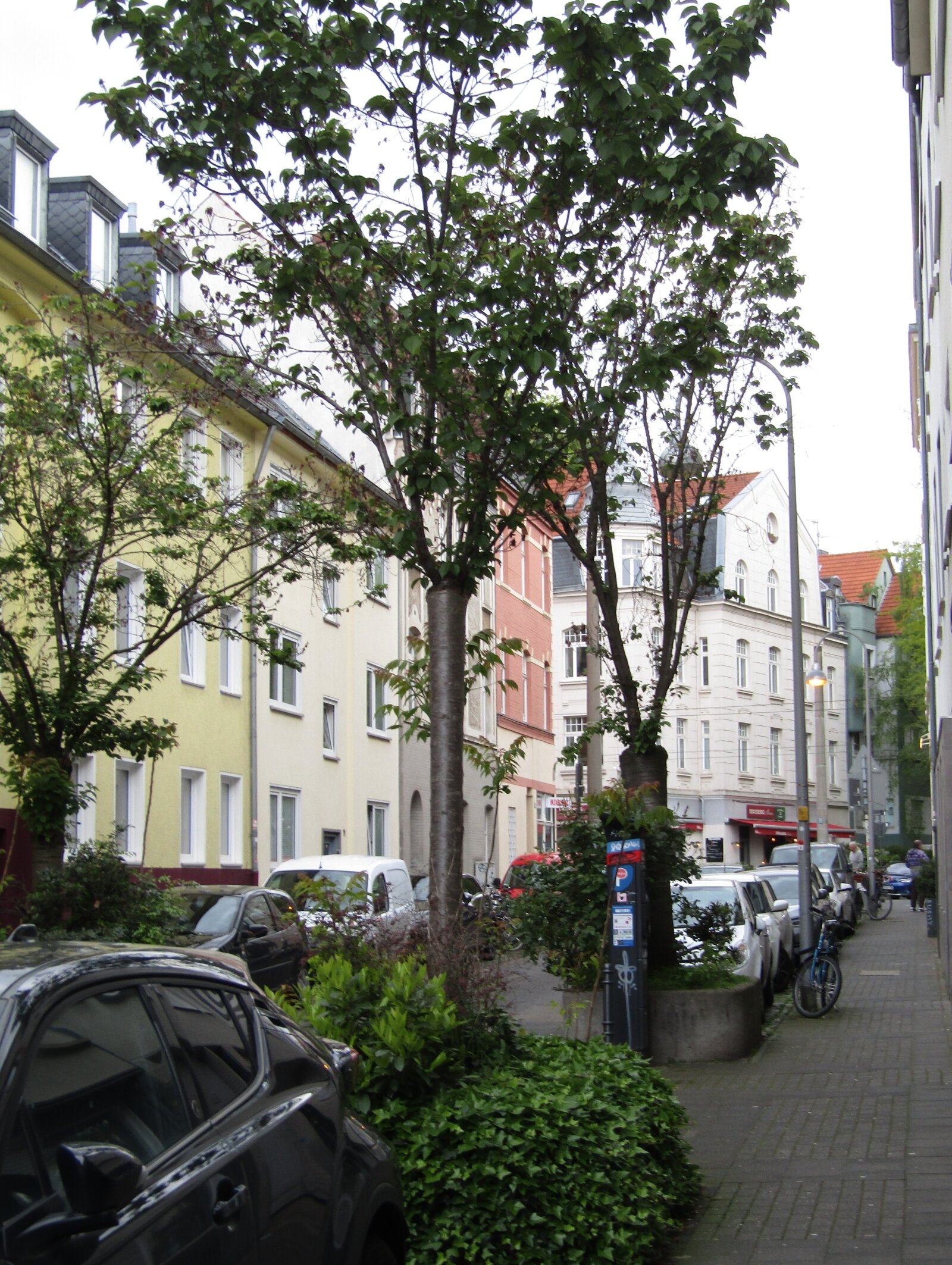 Mittendrin in Köln - Lindenthal.